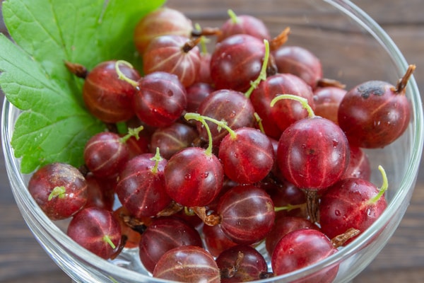 ビタミン不足改善!? スーパーフード「レッドカラント」で美肌に!