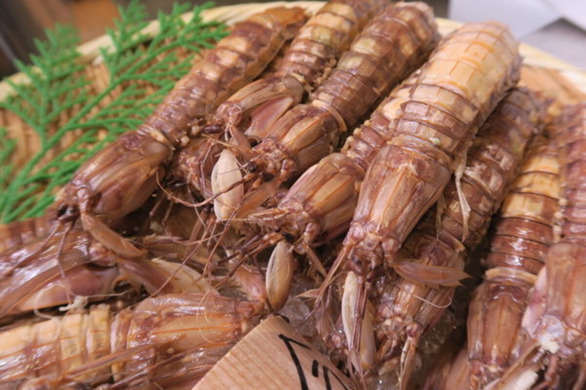 シャコを食べて疲れ知らずの美肌＆ボディをGET！