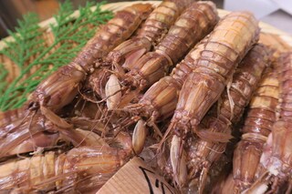 シャコを食べて疲れ知らずの美肌＆ボディをGET！