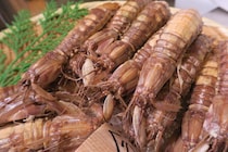 シャコを食べて疲れ知らずの美肌＆ボディをGET！