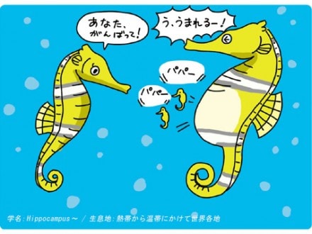 雄が産む？驚異のイクメン動物6選