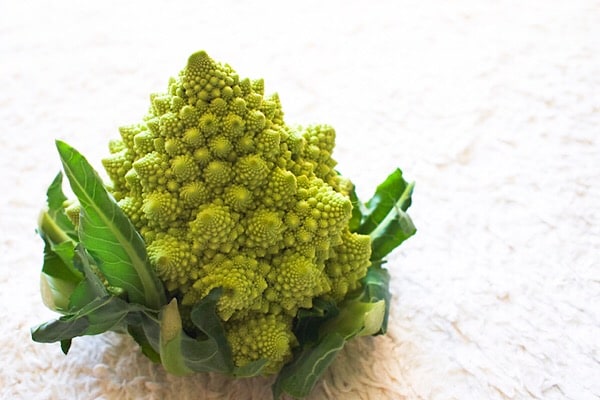 クリスマスにぴったりの野菜!「ロマネスコ」って知ってる?!