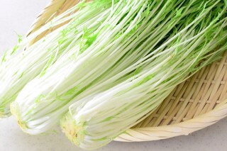 シャキシャキ「水菜」は冬野菜の優等生！気になる栄養素は…