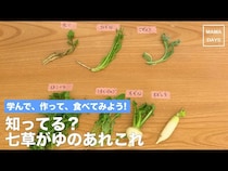 【動画／春の七草がゆ】赤ちゃんもOK！七草の種類・意味も学んで美味しく食べよう