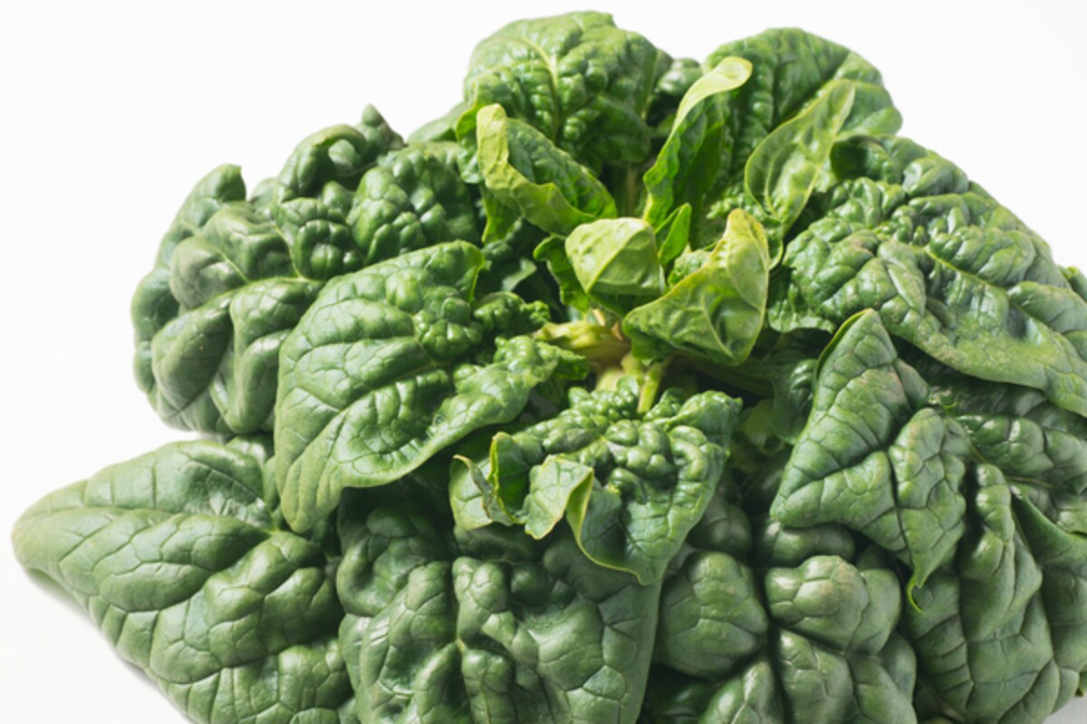 旬の野菜！「ちぢみほうれん草」はビタミンCが豊富?!