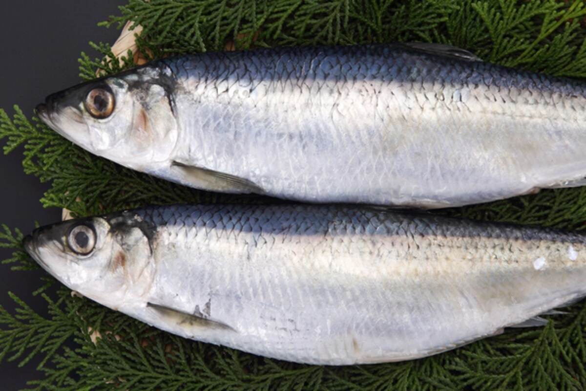 数の子の親「ニシン」の美容効果をチェック＆おすすめレシピ