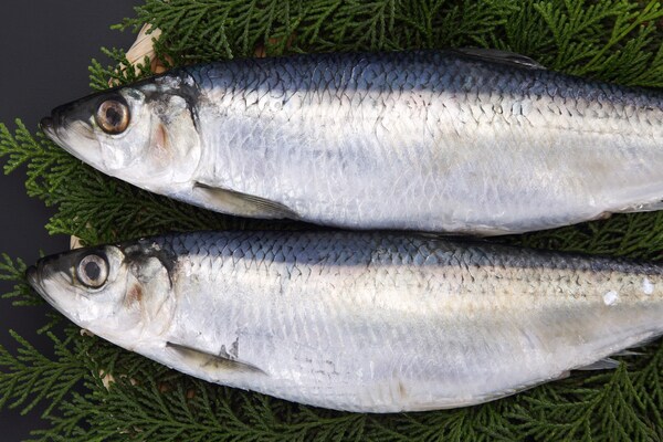 数の子の親「ニシン」の美容効果をチェック＆おすすめレシピ