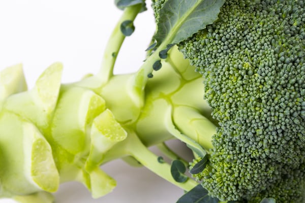 もったいない!栄養満点「ブロッコリーの茎」を有効活用!