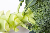 もったいない！栄養満点「ブロッコリーの茎」を有効活用！