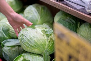 冬のキャベツを活用しまくる大量消費レシピ