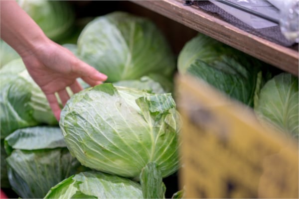 冬のキャベツを活用しまくる大量消費レシピ