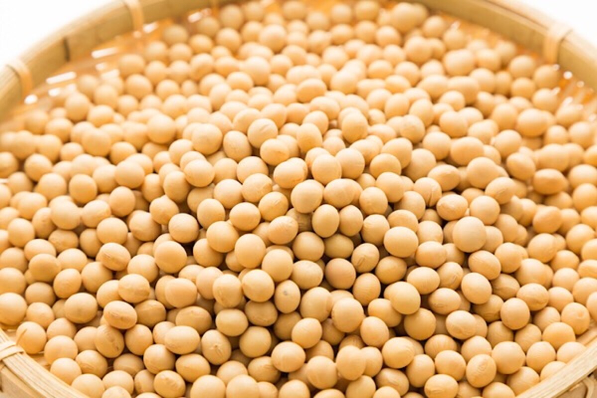 大豆って女性だけじゃない？受験生にも良いの?!