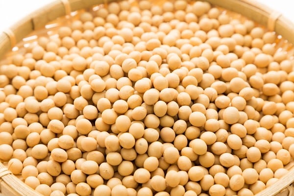 大豆って女性だけじゃない？受験生にも良いの?!