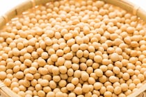 大豆って女性だけじゃない？受験生にも良いの?!