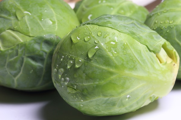 コロンとかわいい冬野菜「芽キャベツ」の美容効果とは?