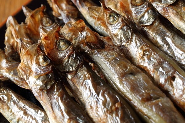 小さいけど侮れない「本ししゃも」に含まれる栄養素××に注目!