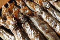 小さいけど侮れない「本ししゃも」に含まれる栄養素××に注目！