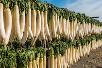 栄養たっぷり！切り干し大根の作り方やおすすめのレシピをご紹介