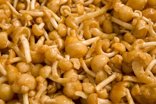 味噌汁の定番具材「なめこ」で美肌に?! お酒と相性抜群のおつまみレシピ