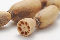 花粉症予防に効果的?! レンコンに含まれる栄養○○に注目！