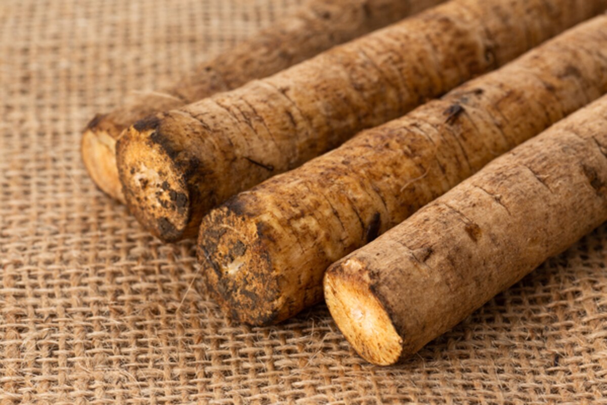 ごぼうに含まれる○○がウイルス対策に有効!? おすすめの食べ方