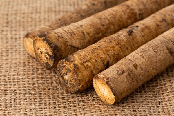 ごぼうに含まれる○○がウイルス対策に有効!? おすすめの食べ方