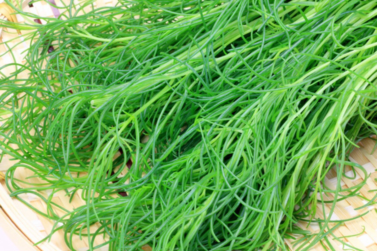 いつもの料理がオシャレに!? イタリア野菜のアグレッティとは？