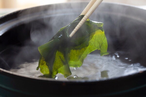 食べれば食べるほど痩せる?! ダイエットの救世主わかめのお話