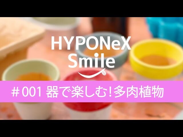 【動画】空き缶でもいいの!?　器を替えると雰囲気も変わる多肉植物