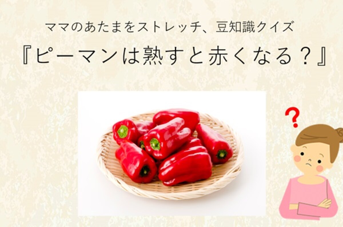 ママ、これ分かる？豆知識クイズ「緑のピーマンは熟すと赤ピーマンになる？」