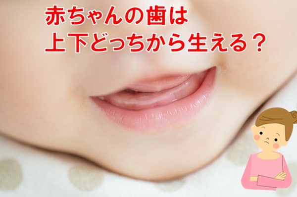 ママ、これ分かる?豆知識クイズ「赤ちゃんの歯が生え始めるのは上下どっちから?」