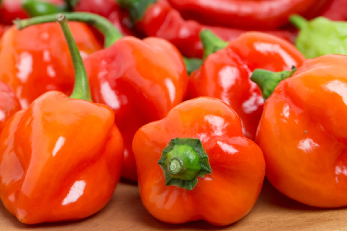 やみつきになる辛さ！「ハバネロ」を使ったおすすめレシピ