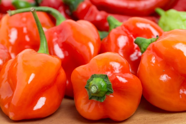 やみつきになる辛さ！「ハバネロ」を使ったおすすめレシピ