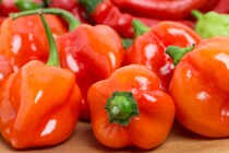 やみつきになる辛さ！「ハバネロ」を使ったおすすめレシピ