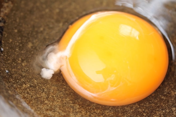 卵についてる白いひも「カラザ」がウイルス対策に効果的!?