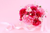 母の日にカーネーションを！ 観ても・食しても癒される!?