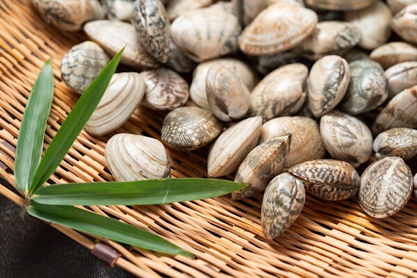 食べて貧血改善! おいしいアサリの見分け方と砂抜き法は?