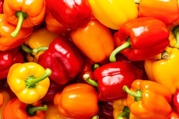 パプリカは美容野菜!? 抗酸化成分&抗酸化ビタミンが豊富