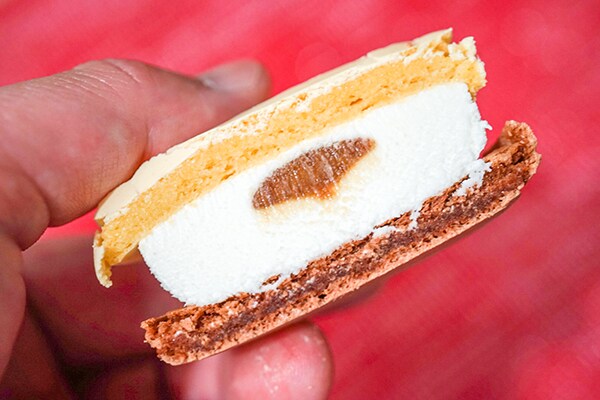 【セブンで数量限定】2色使いのマカロンアイスが超おいしかった!!