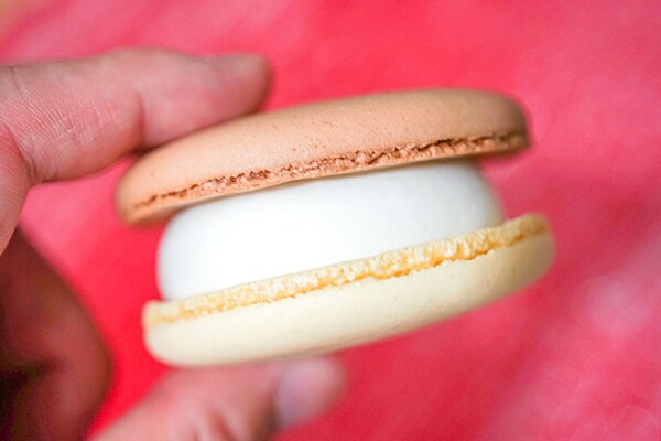 【セブンで数量限定】2色使いのマカロンアイスが超おいしかった!!