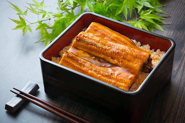 鰻（うなぎ）は夏バテに良い！美容にも良い！