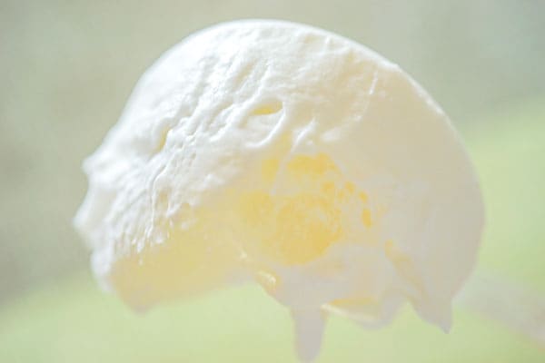 なにこれ!? ローソンの新作スイーツがウマすぎて幸せでした！