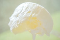 なにこれ!? ローソンの新作スイーツがウマすぎて幸せでした！