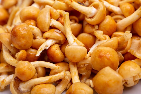 のどごしトロッ! 美肌にも嬉しい「麻婆なめこ豆腐」の作り方