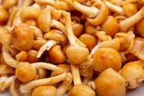 のどごしトロッ！ 美肌にも嬉しい「麻婆なめこ豆腐」の作り方