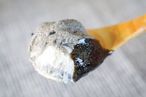 セブンに感謝！カップの中に「おいしい」がいっぱい詰まってた！！