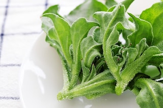 水晶のように輝くアイスプラントのプチプチの正体は？