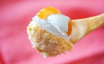 見た目も味も完璧！2020年、激ウマだったセブンスイーツTOP5