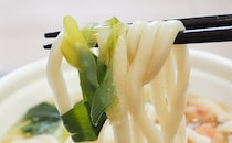 ねぎこそ至高！柚子胡椒が上品なローソンの新作うどん