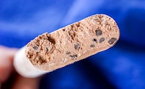 セブン限定アイス、ゴリゴリ感がハンパない！！